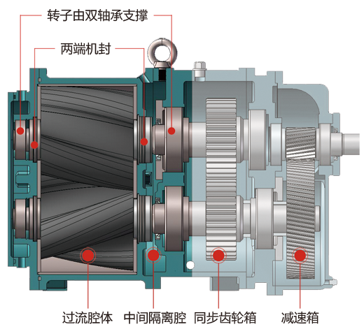 羅德凸輪轉子泵的工作原理
